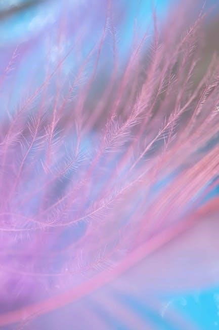 pexels-photo-11280357