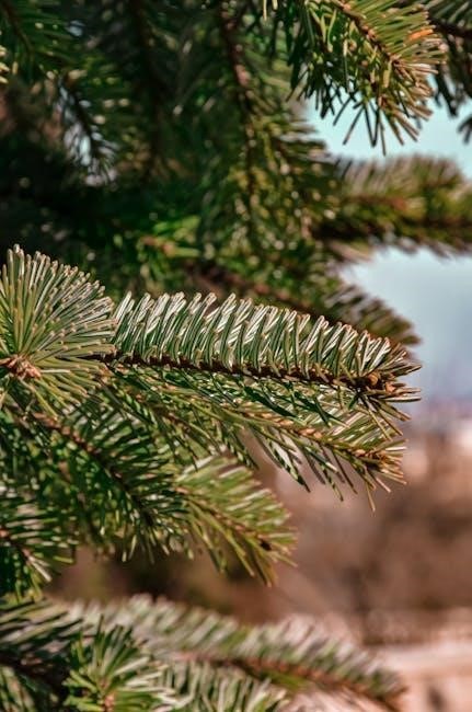 pexels-photo-14649410
