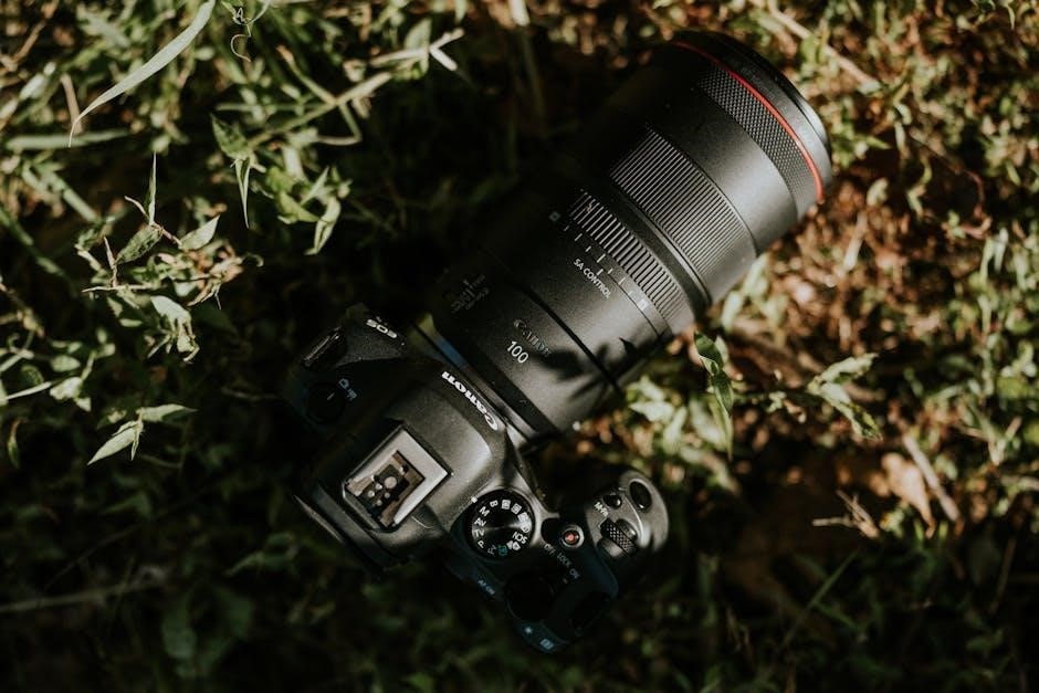 pexels-photo-18868638