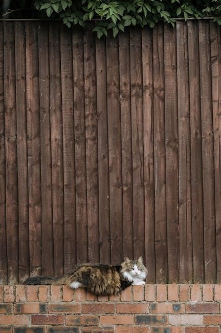 pexels-photo-19607028