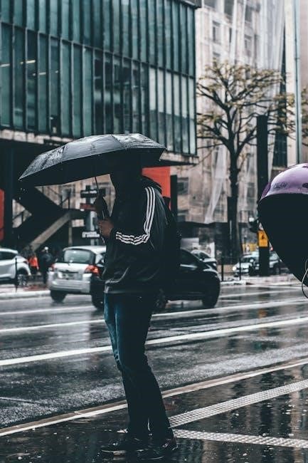 pexels-photo-303385