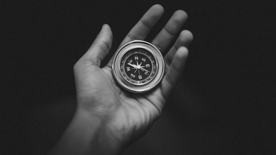 pexels-photo-3203659
